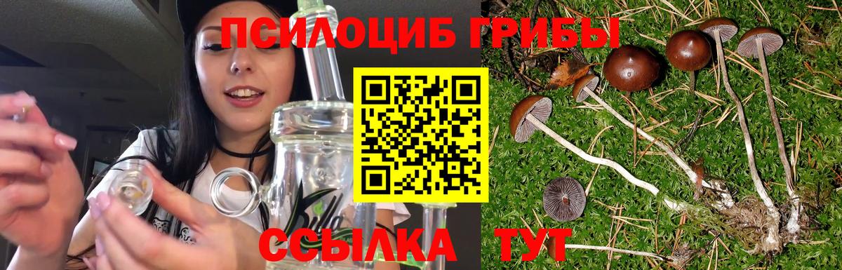 Псилоцибиновые грибы Cubensis  Вход с VPN  Нягань 